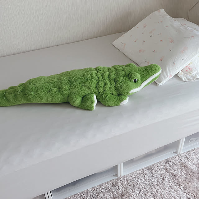 okapiさんの実例写真