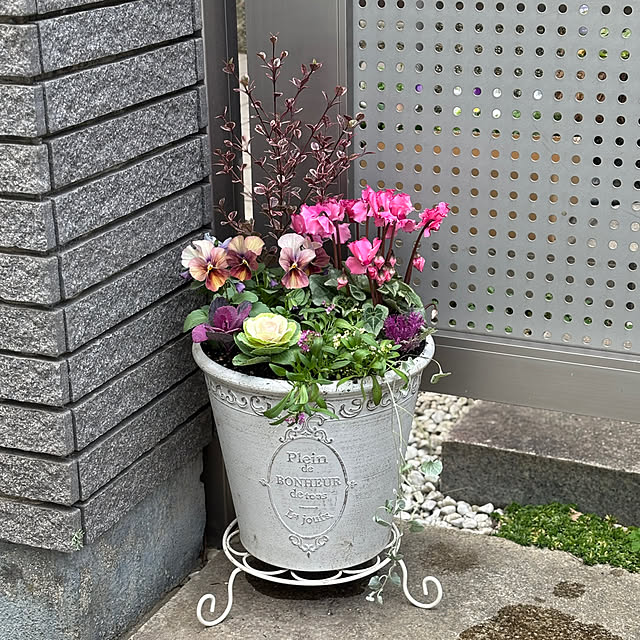 maayaさんの部屋