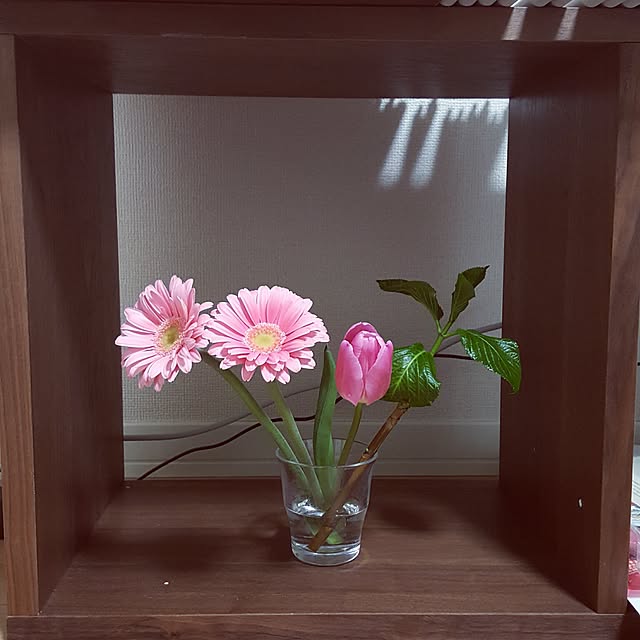 Dayさんの実例写真