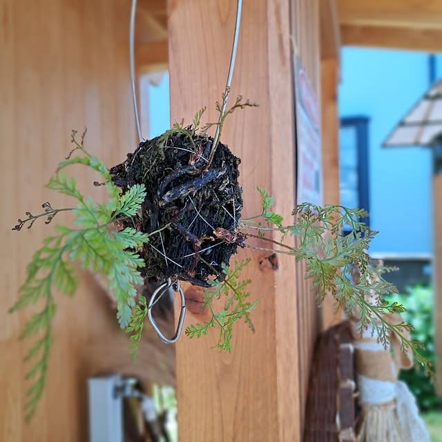 kazuraさんの部屋