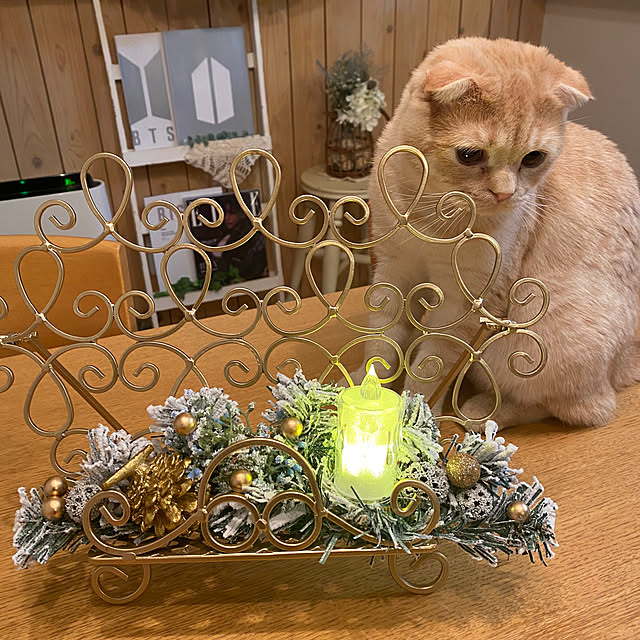 Mikipochiさんの部屋