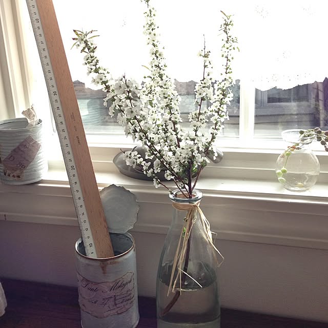 Nanaさんの実例写真