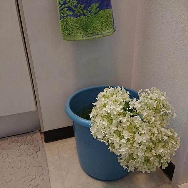 hopkeiさんの実例写真