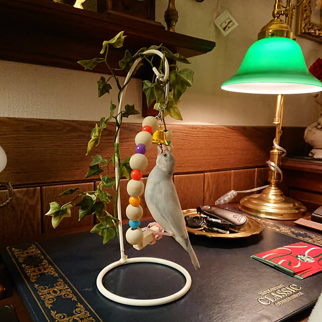 copippiさんの実例写真