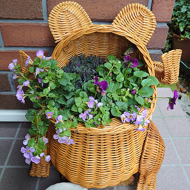 demetanさんの実例写真