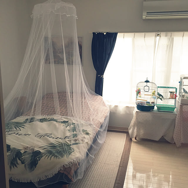 oniyomeさんの実例写真