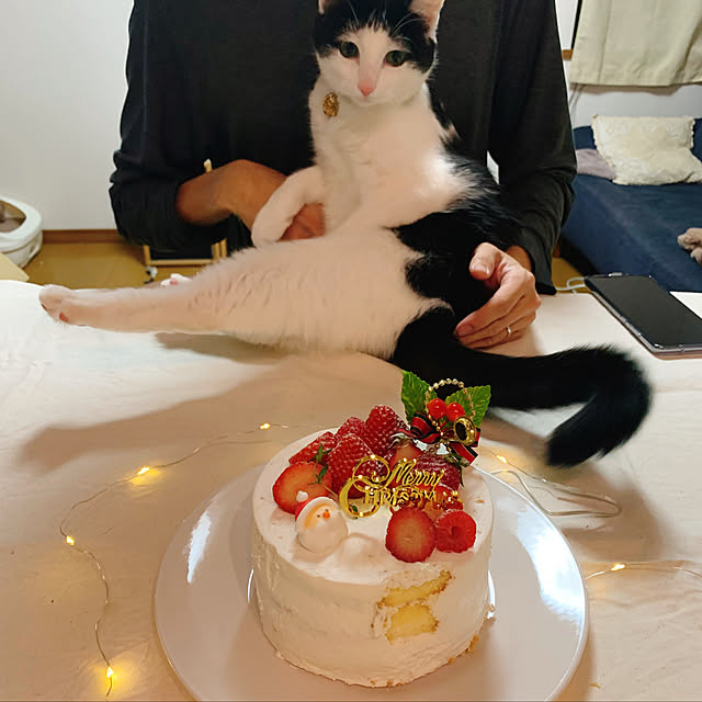 harukaさんの実例写真
