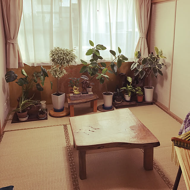 tornadeさんの実例写真