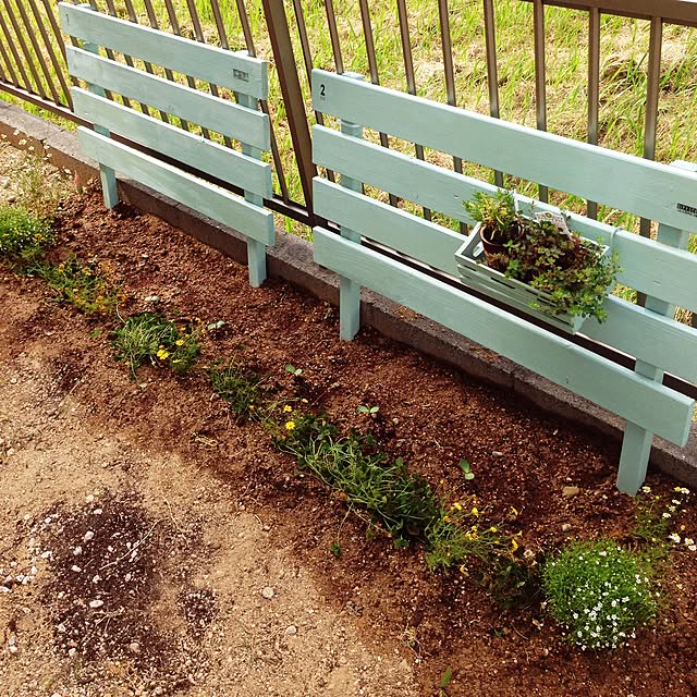 yoppyさんの実例写真