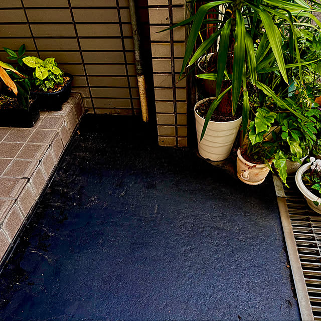 tututu0204さんの部屋