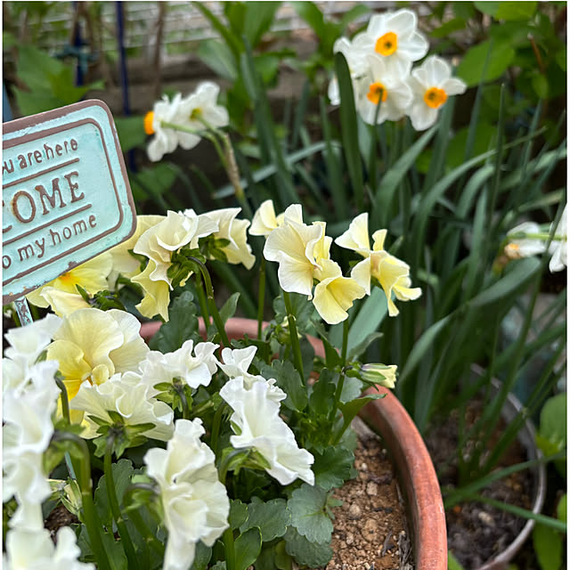 CoCo0617さんの部屋