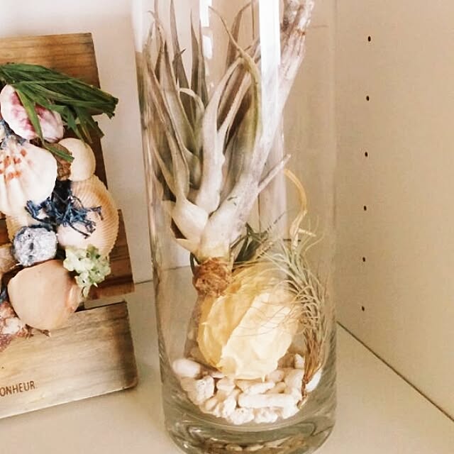 morizo_mamaさんの実例写真