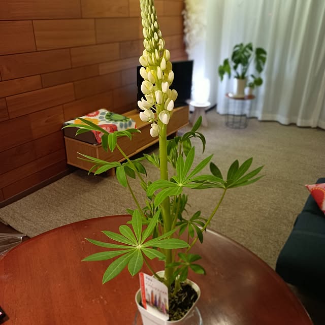 hisaさんの部屋