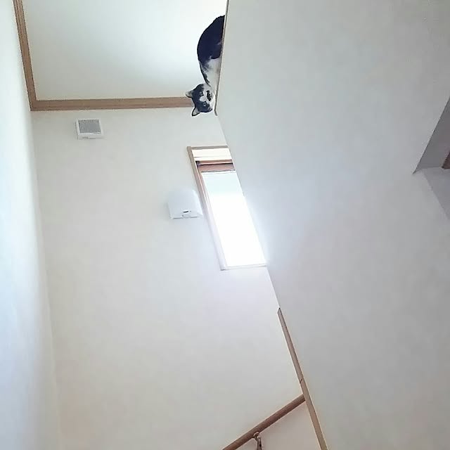 oliveさんの実例写真