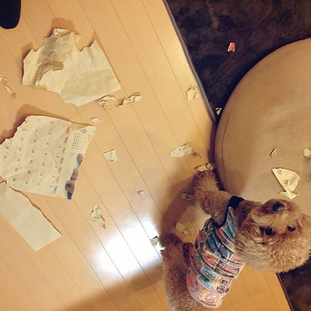 rookuさんの実例写真
