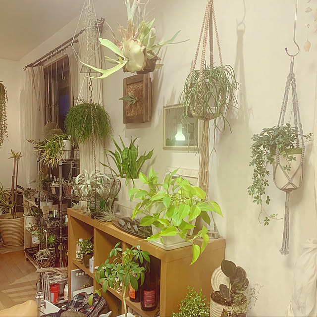 kaoriさんの実例写真