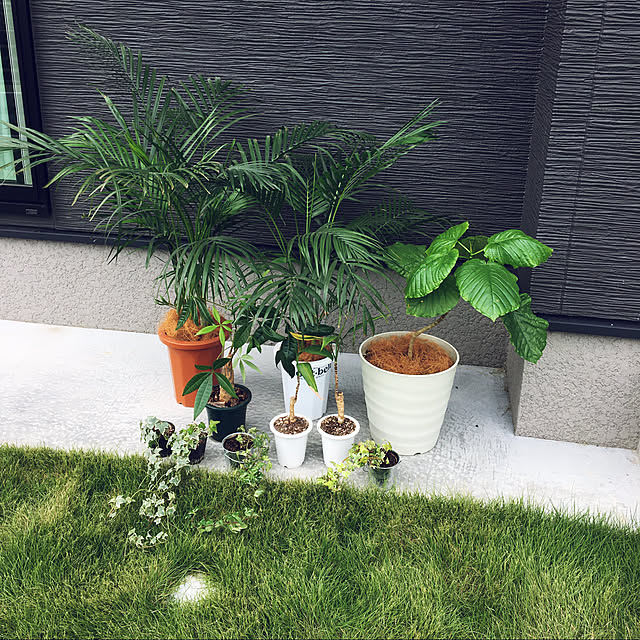 seiさんの実例写真