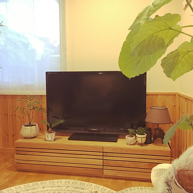 実例写真