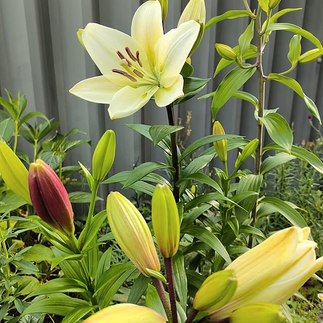 kiraさんの部屋