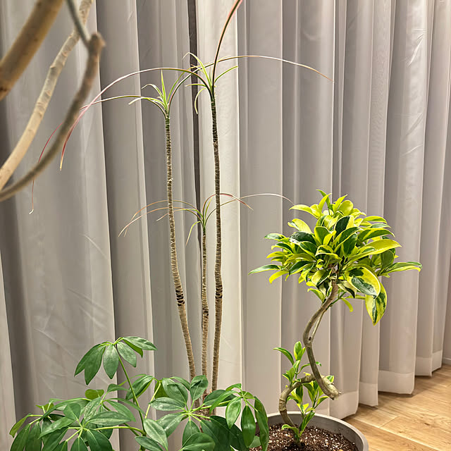 y---iさんの部屋