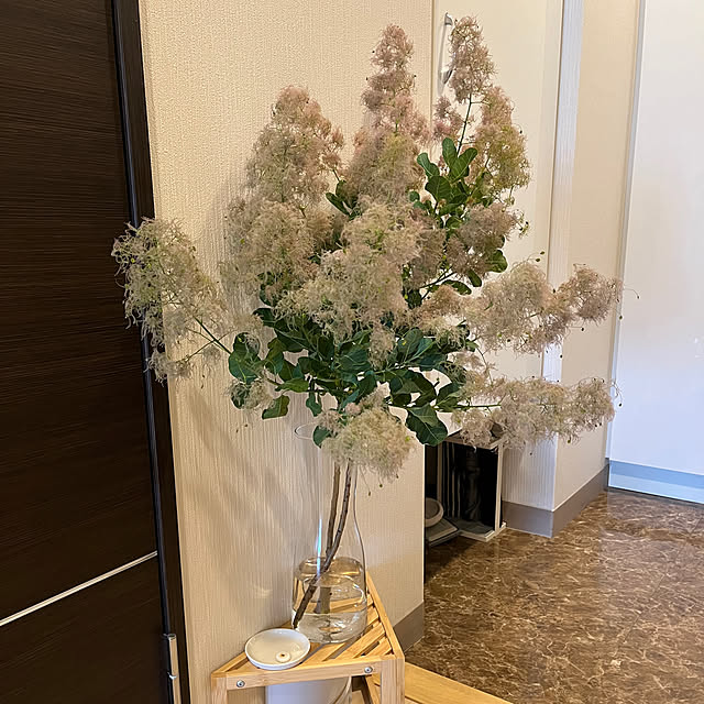 玄関/入り口/観葉植物/一人暮らし/シンプル/花のある暮らしのインテリア実例 - 2024-06-04 16:33:21