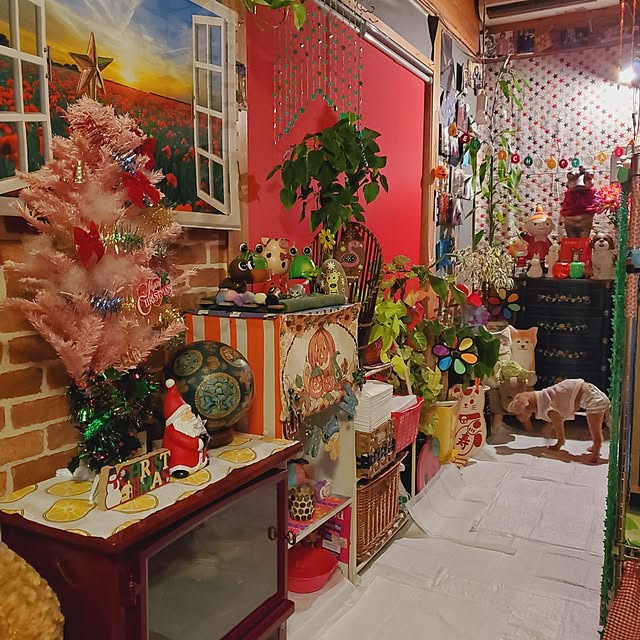 kumutanさんの部屋