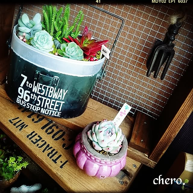chero.さんの実例写真