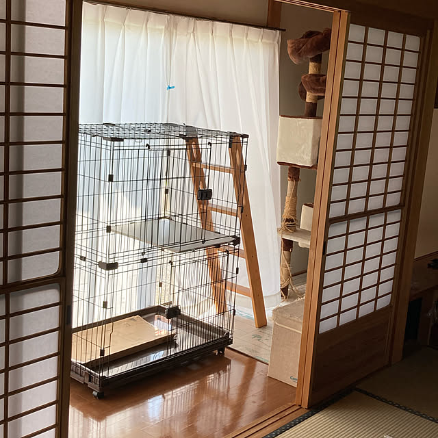 zabonzabonさんの実例写真