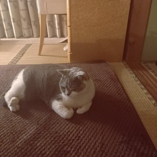 rhuさんの実例写真