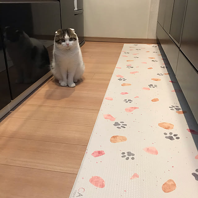 eripontaさんの実例写真