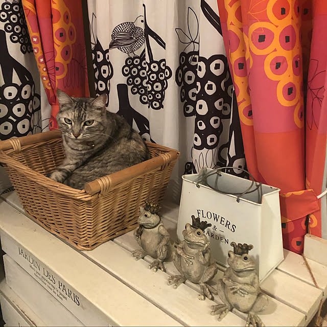 COCOさんの実例写真