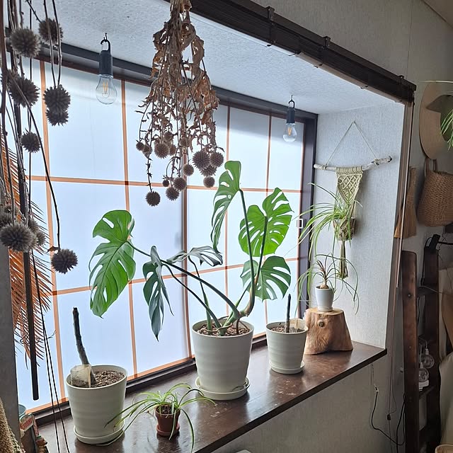 midoriさんの部屋