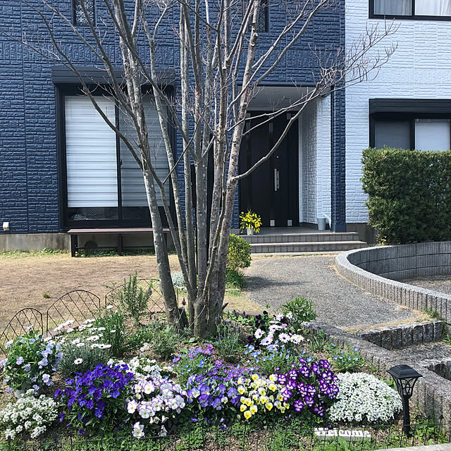 blueberryさんの実例写真
