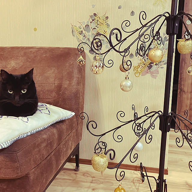 harukaさんの実例写真