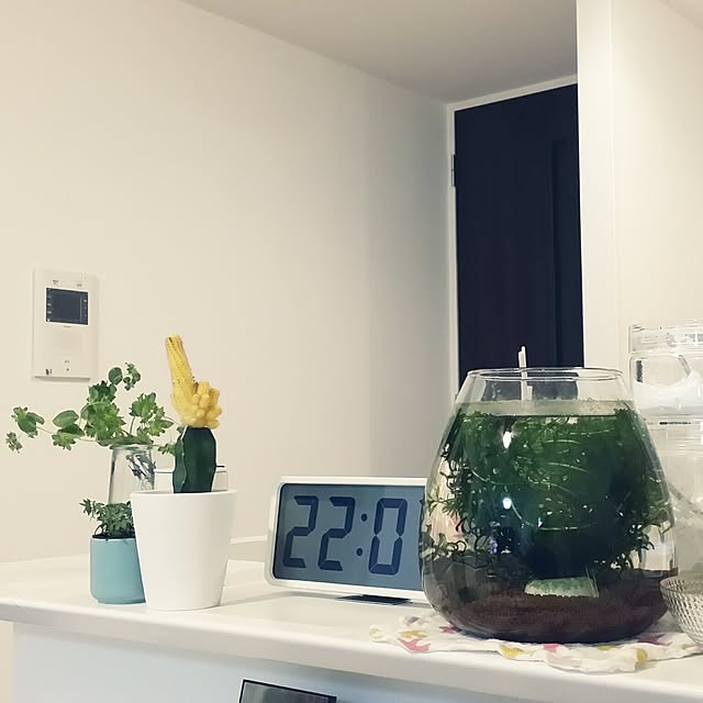 m-kinocoさんの実例写真