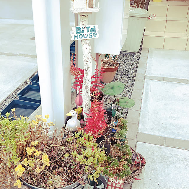 ruru0918さんの実例写真