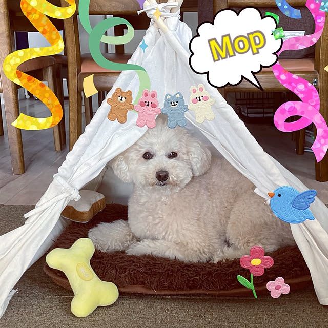 madamkaoriさんの部屋