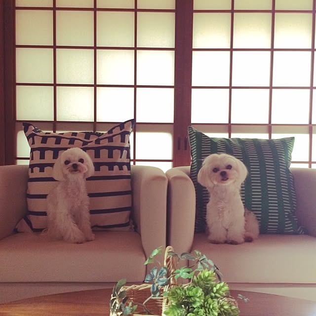 Minamiさんの実例写真
