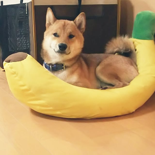 pillowsさんの実例写真