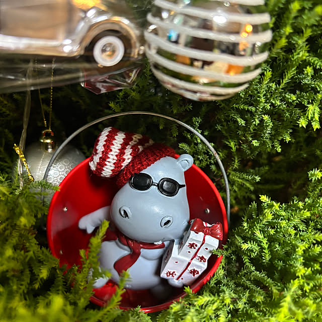 syutmmさんの実例写真