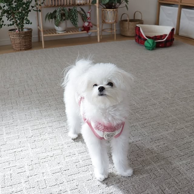 manaさんの部屋