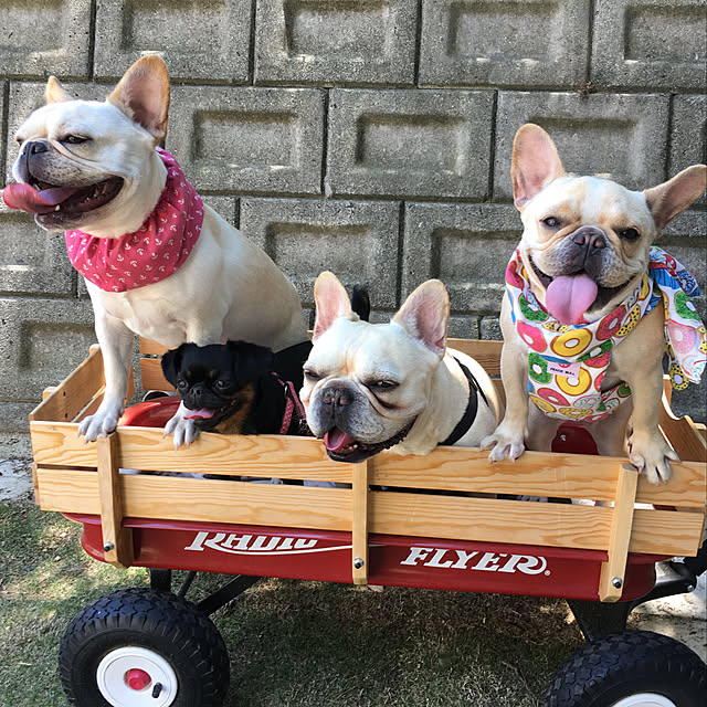 creamdaifukuさんの実例写真