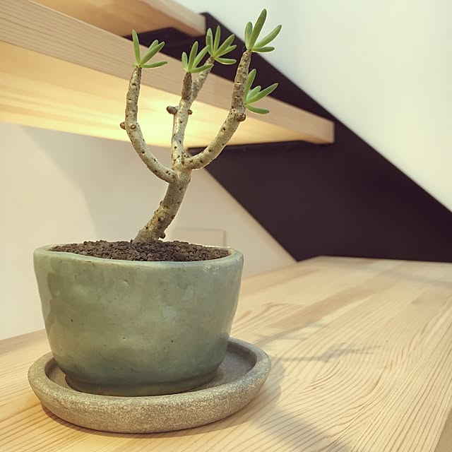 Y1178さんの実例写真