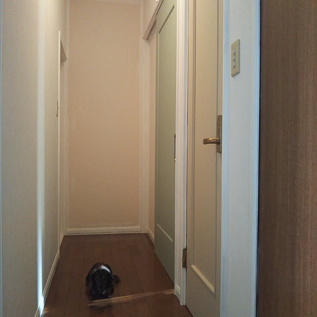 H.Sさんの実例写真