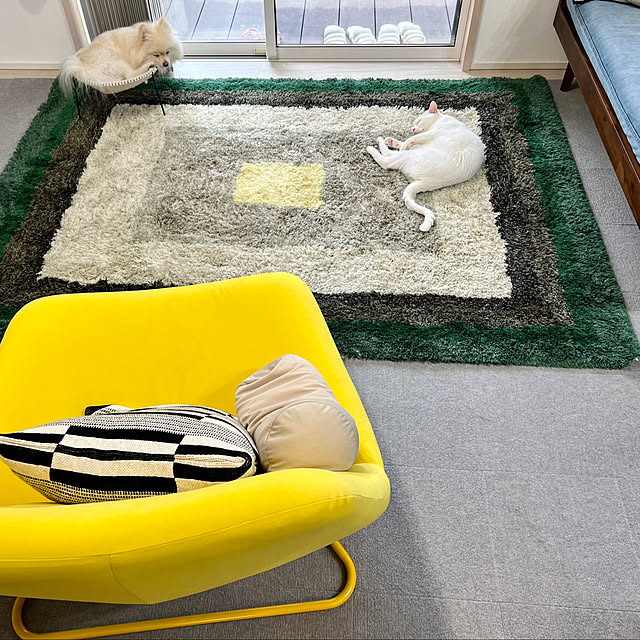 mirai-twdl28さんの実例写真