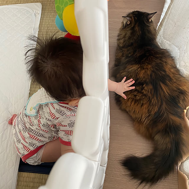 mikomaruさんの実例写真
