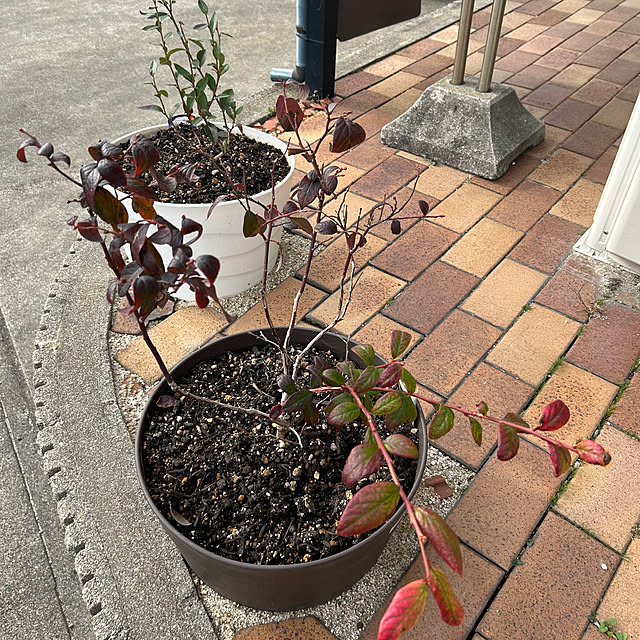 ritsukoさんの部屋