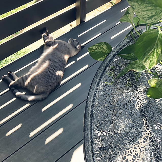 mieさんの実例写真