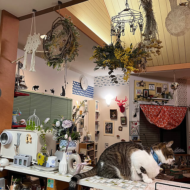 jijiさんの部屋