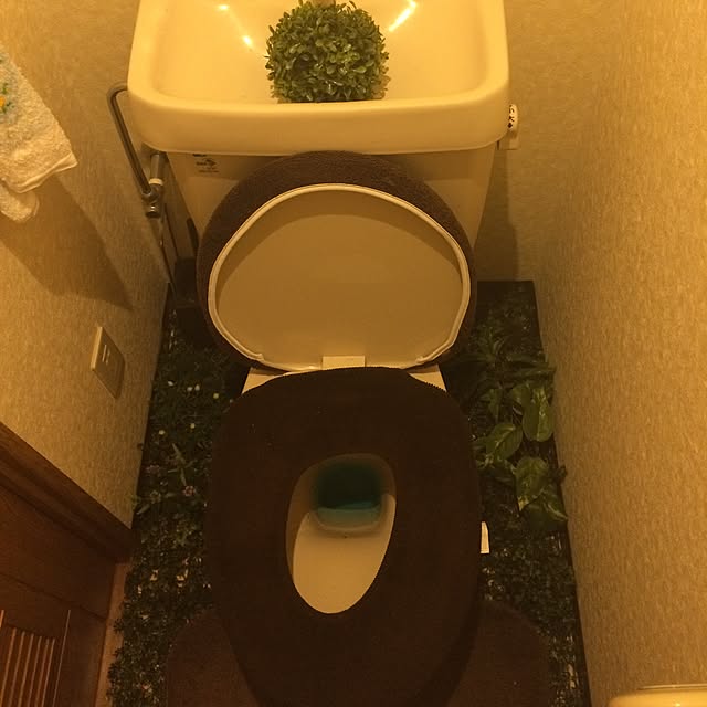 neechさんの実例写真